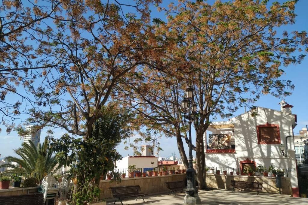 San Antonio Villa Alicante Exterior foto